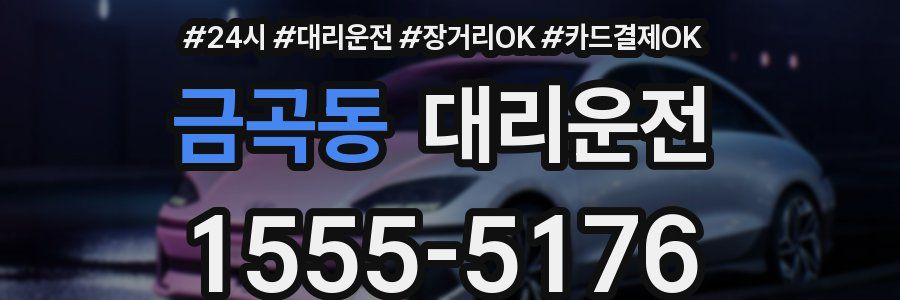 금곡동 대리운전