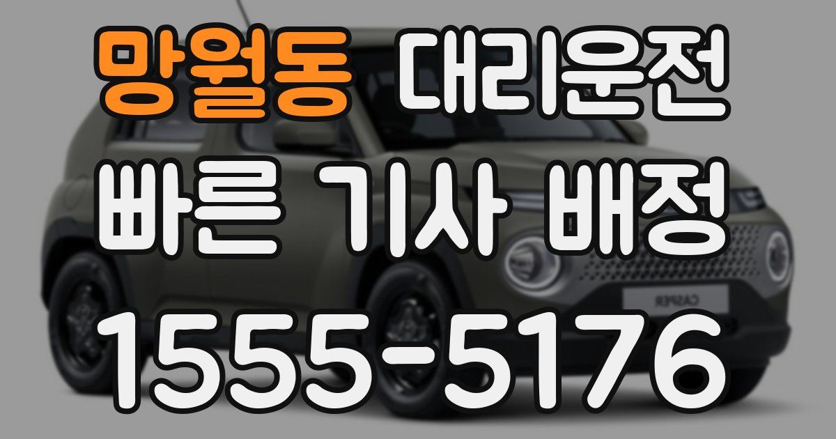 일일대리기사