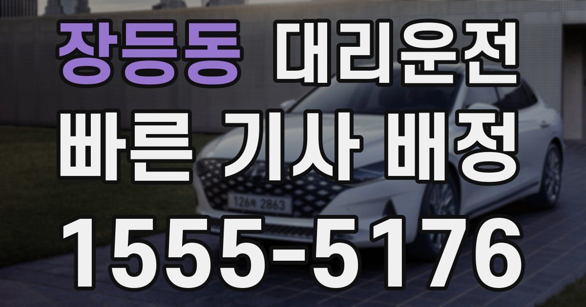일일대리기사