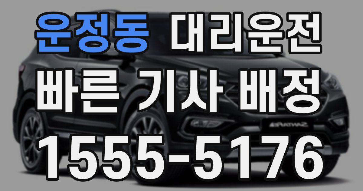 일일대리기사