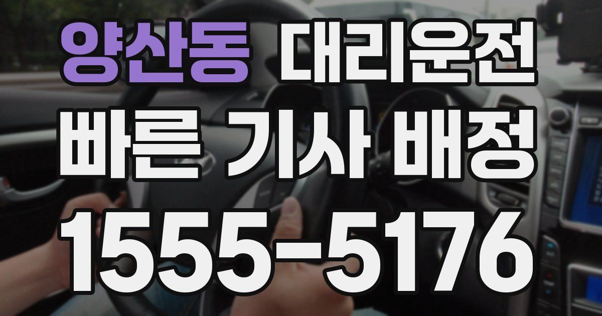 일일대리기사
