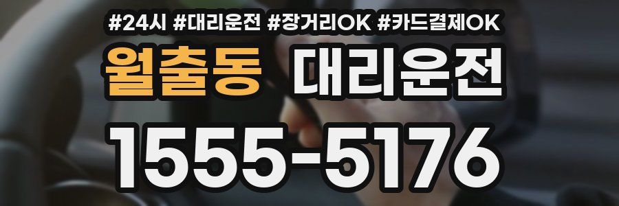 월출동 대리운전