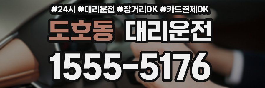 도호동 대리운전