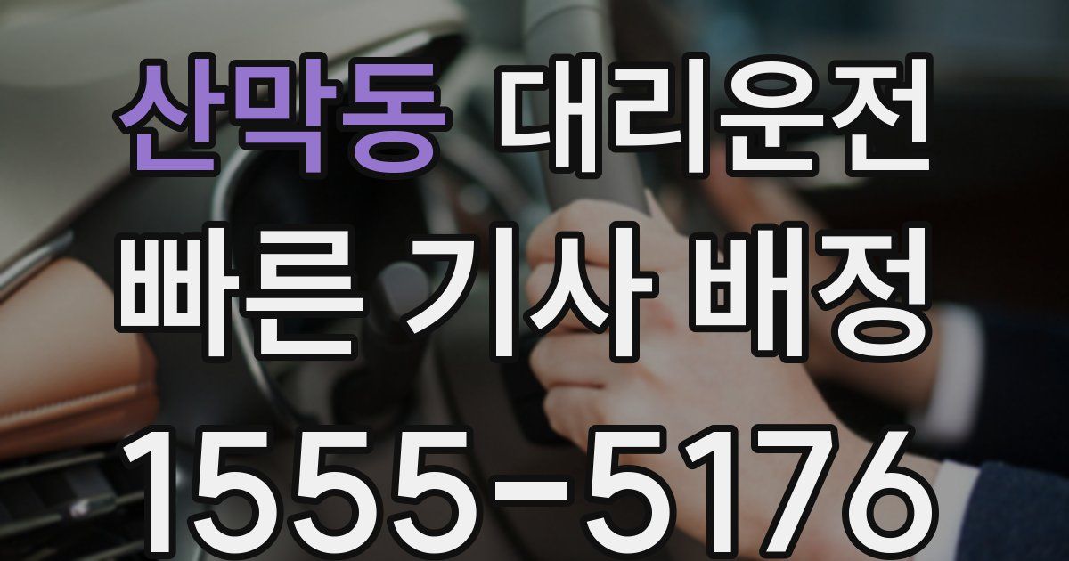 일일대리기사