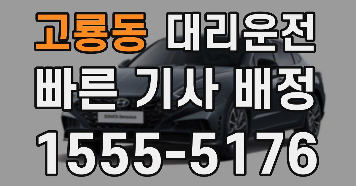 일일대리기사