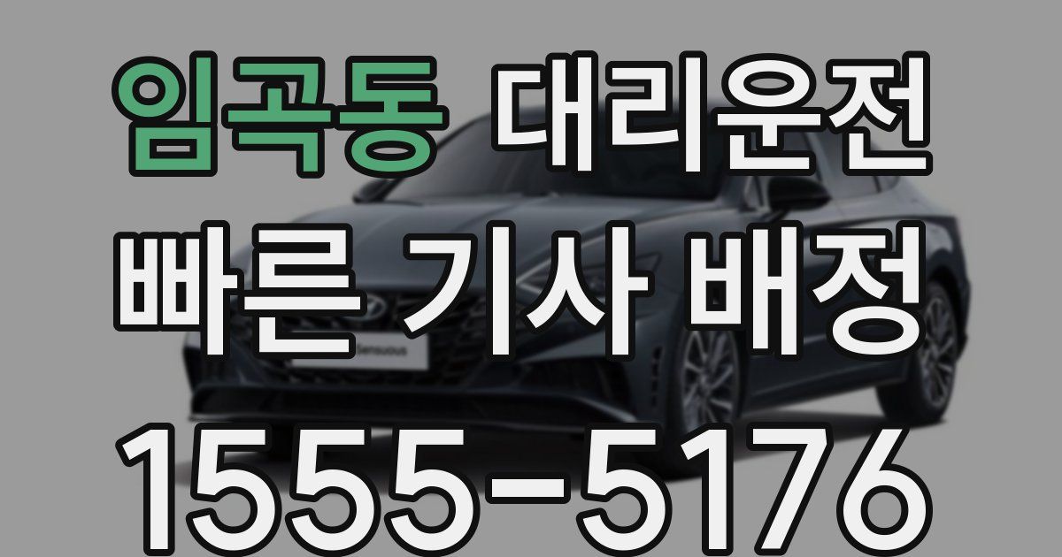 일일대리기사