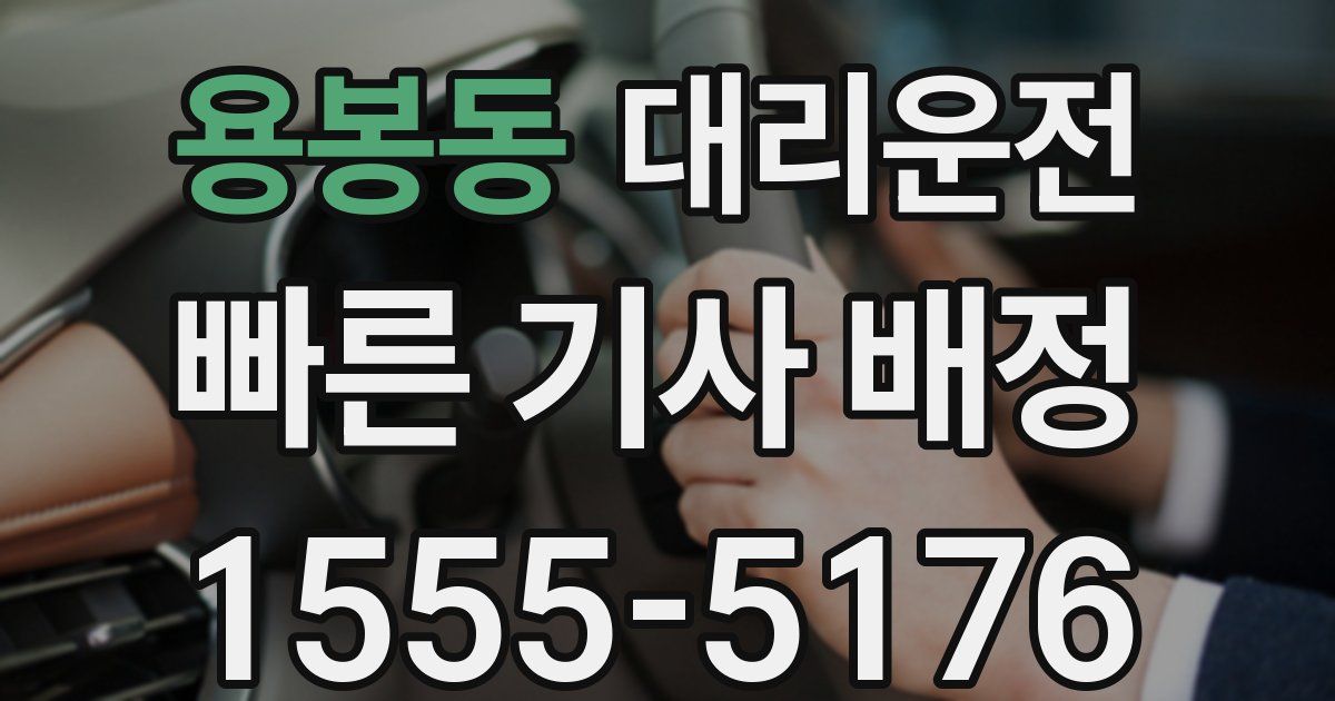 일일대리기사