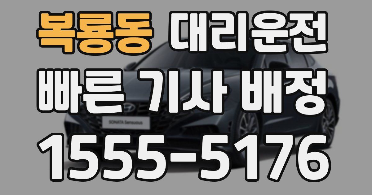 일일대리기사