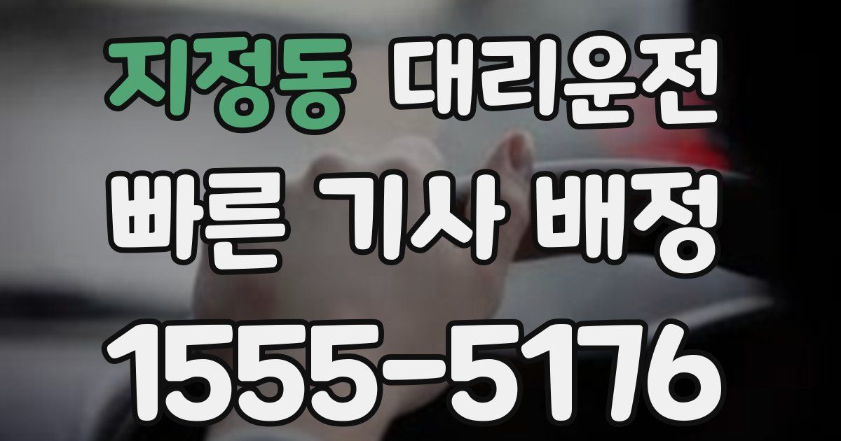 일일대리기사