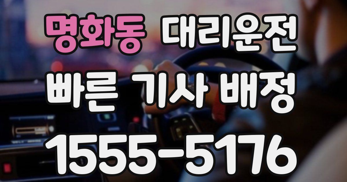 일일대리기사