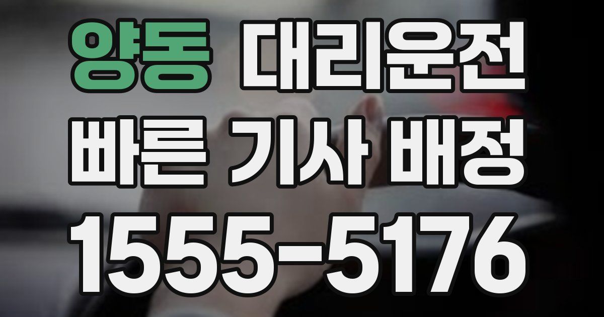일일대리기사