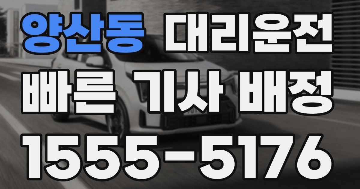 일일대리기사