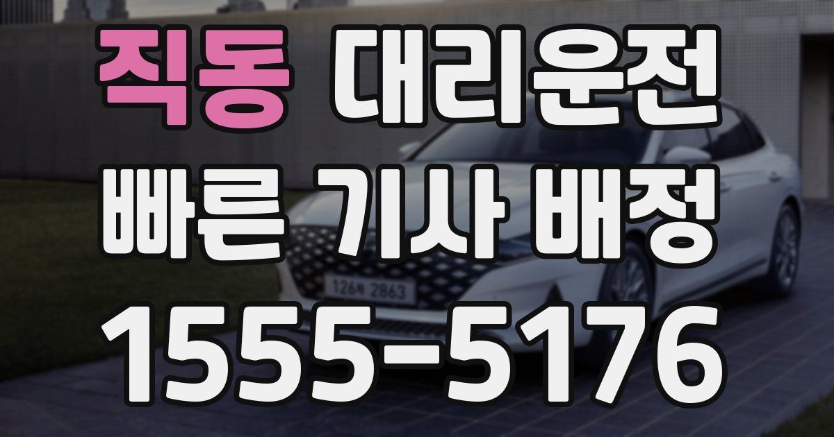 일일대리기사
