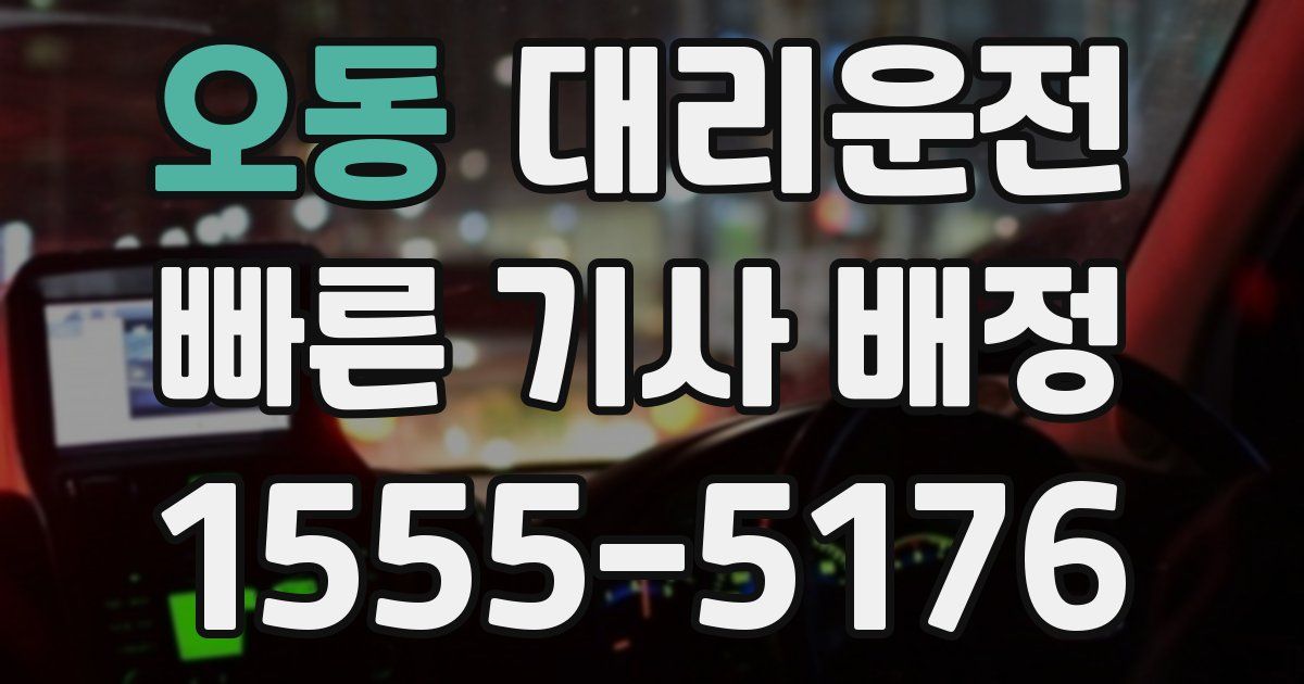 일일대리기사