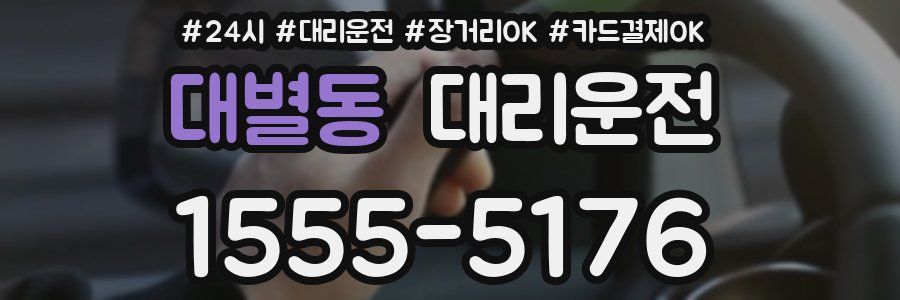 대별동 대리운전