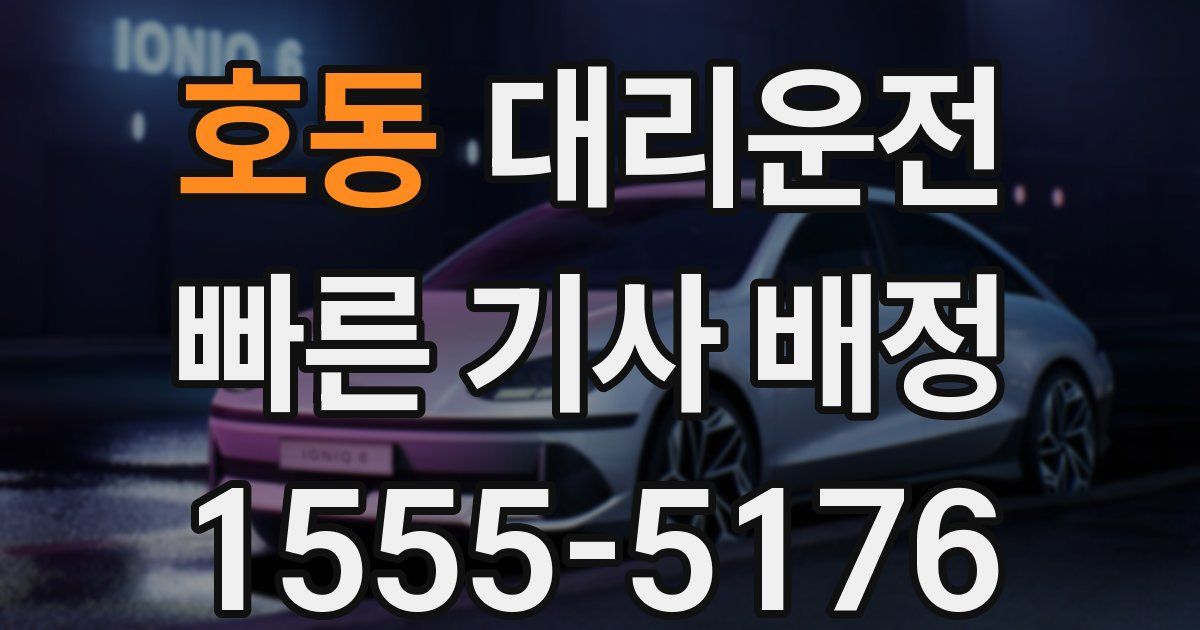 일일대리기사