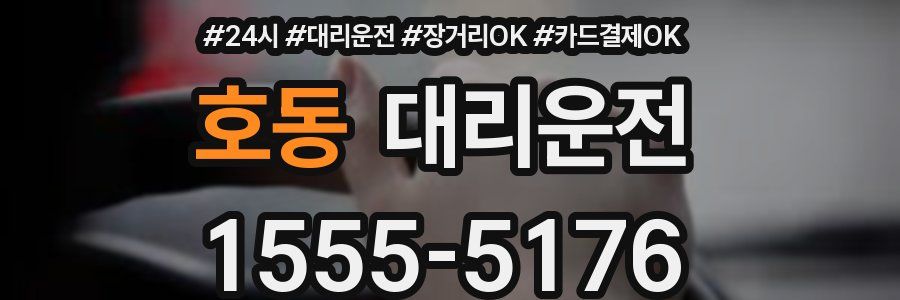 호동 대리운전