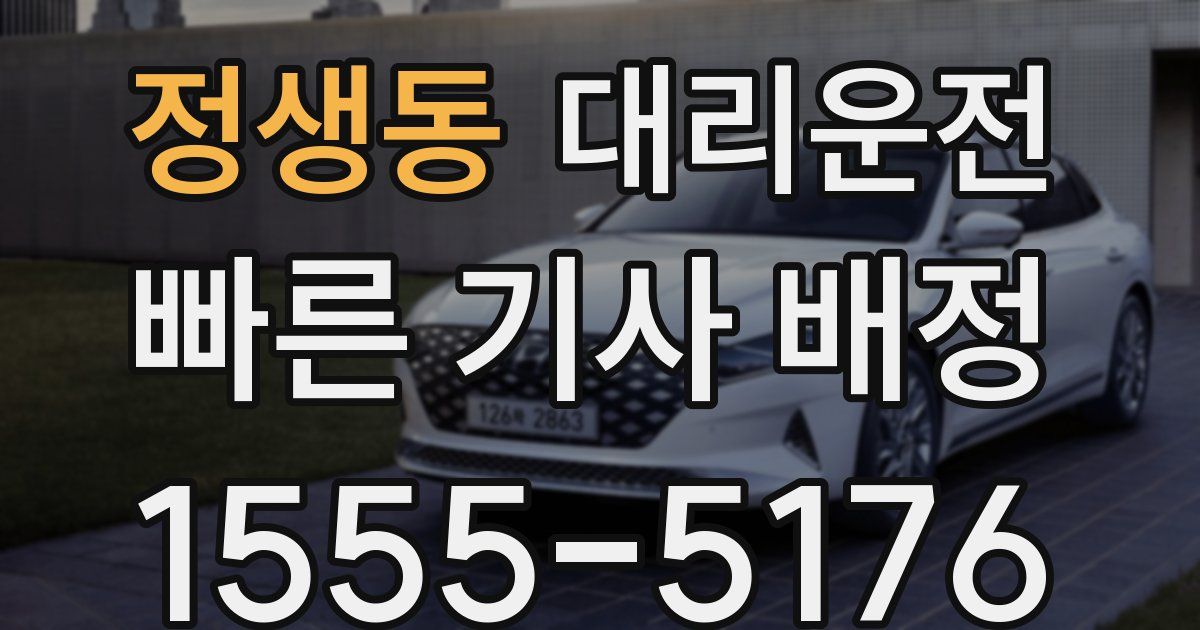 일일대리기사