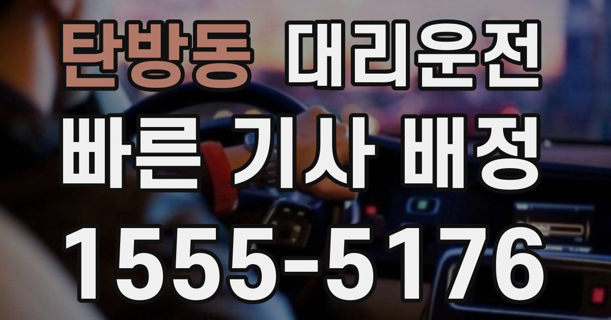 일일대리기사