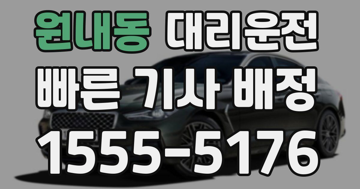 일일대리기사