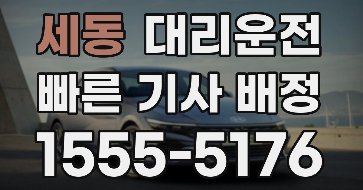 일일대리기사