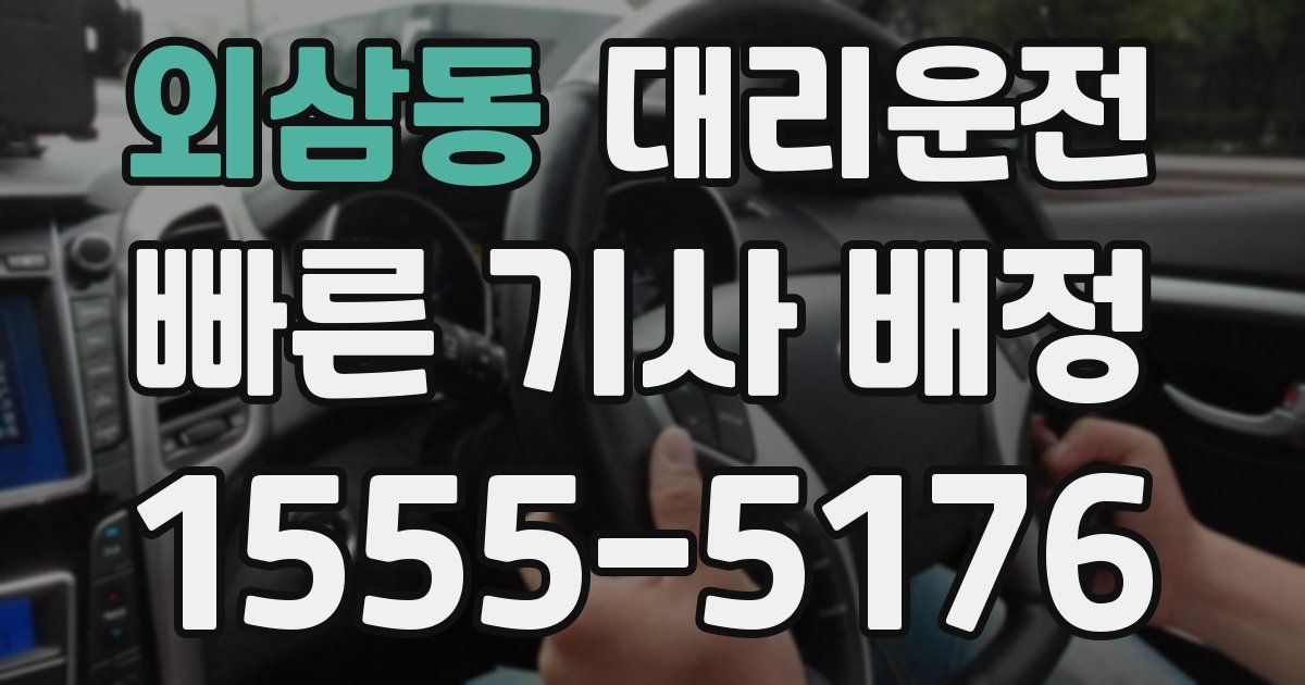 일일대리기사