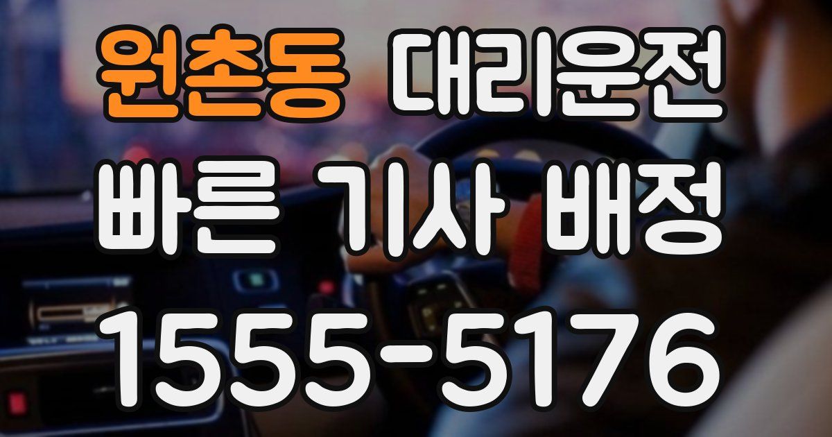 일일대리기사