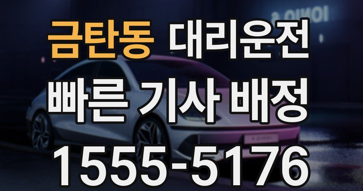 일일대리기사