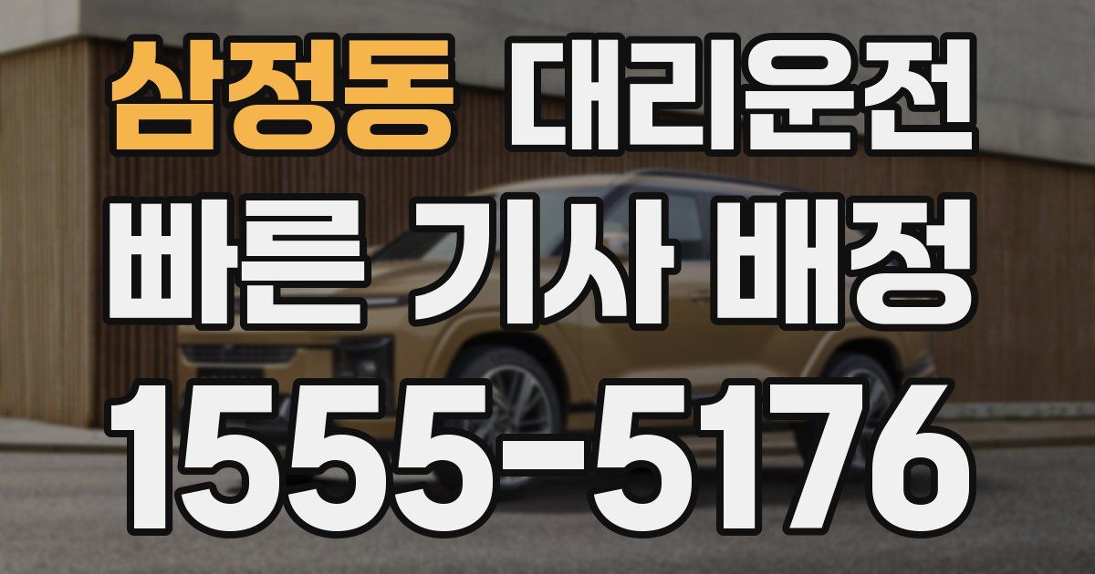일일대리기사