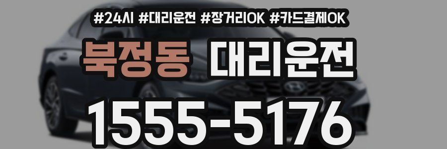 북정동 대리운전