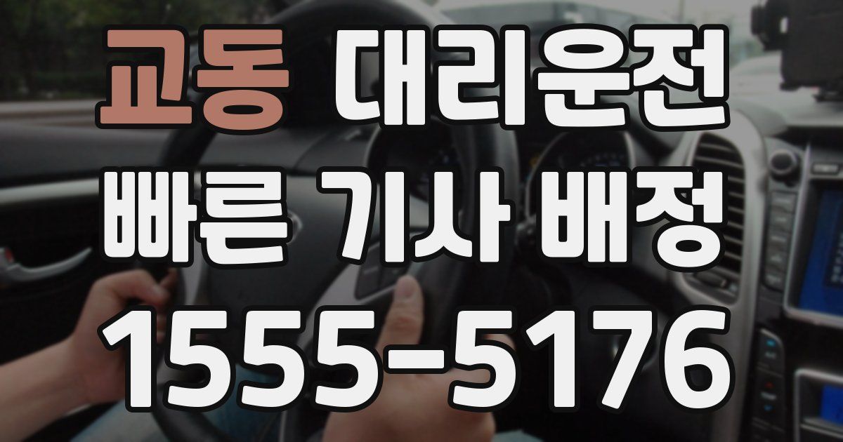 일일대리기사