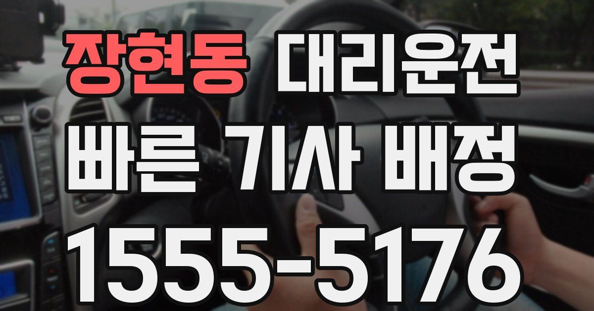 일일대리기사