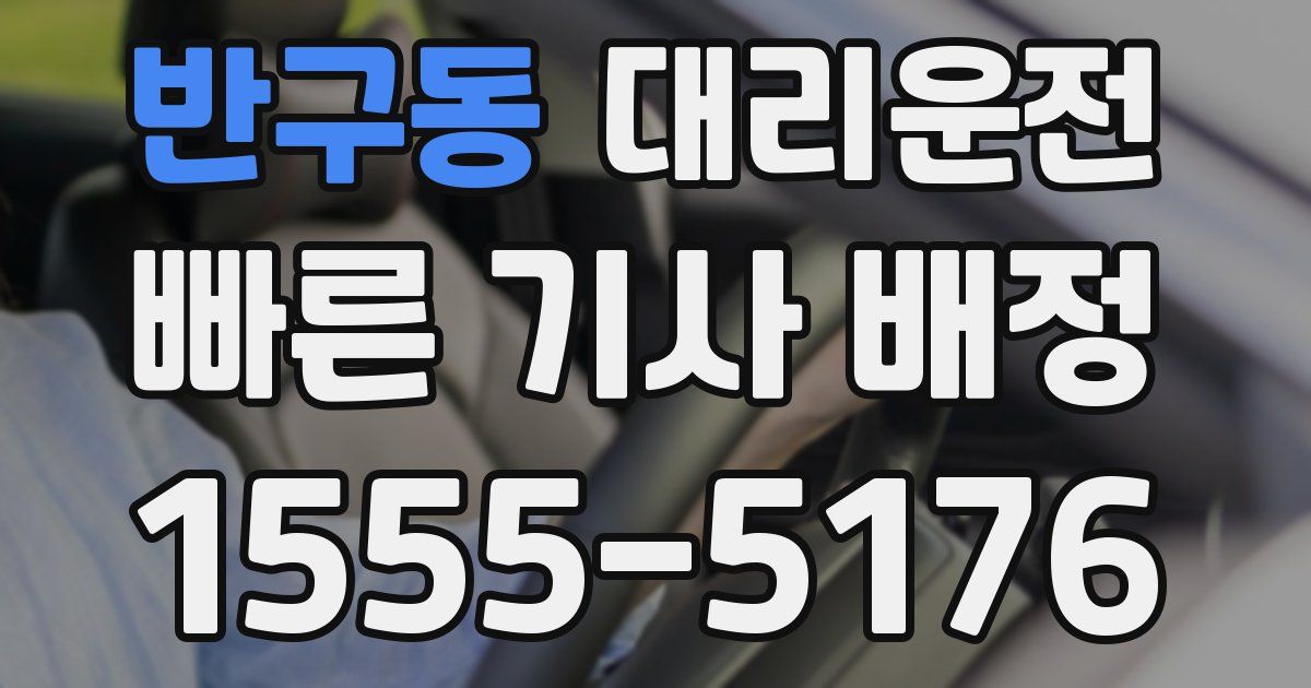 일일대리기사