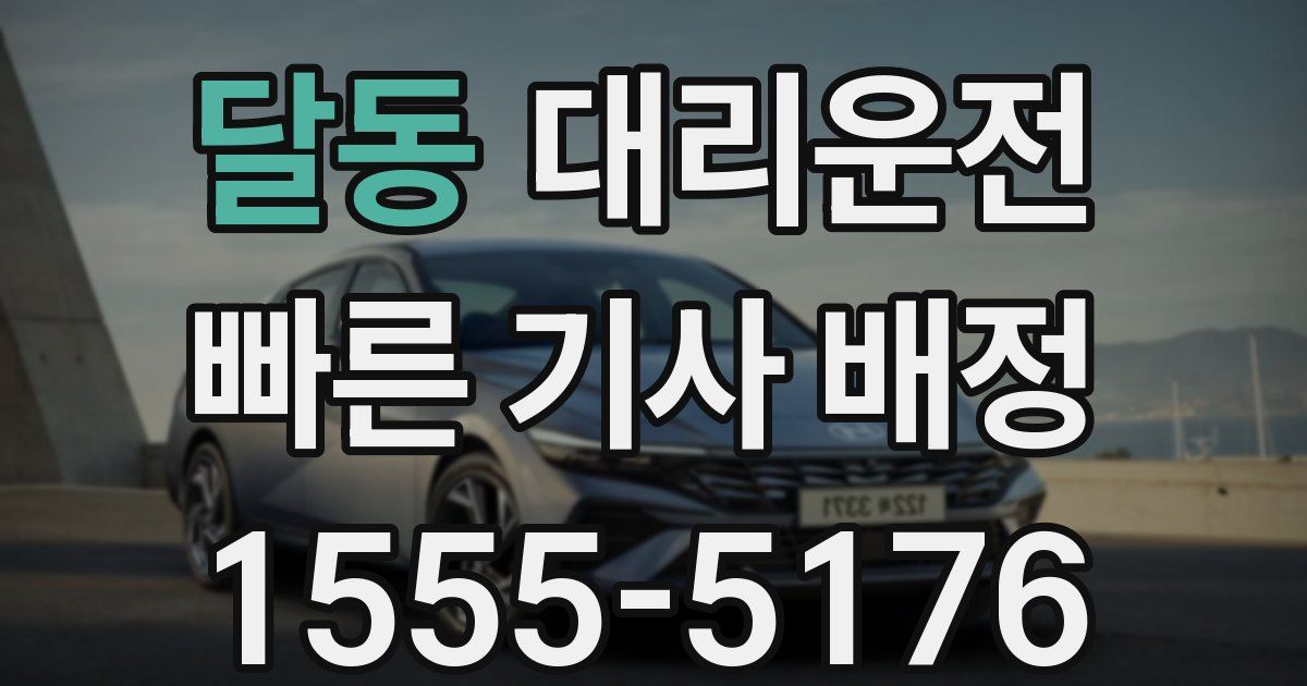 일일대리기사