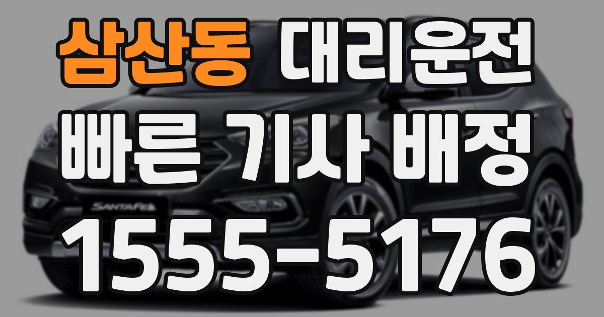 일일대리기사