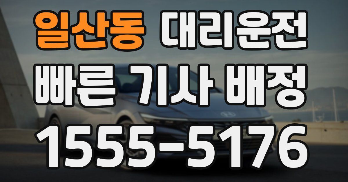 일일대리기사