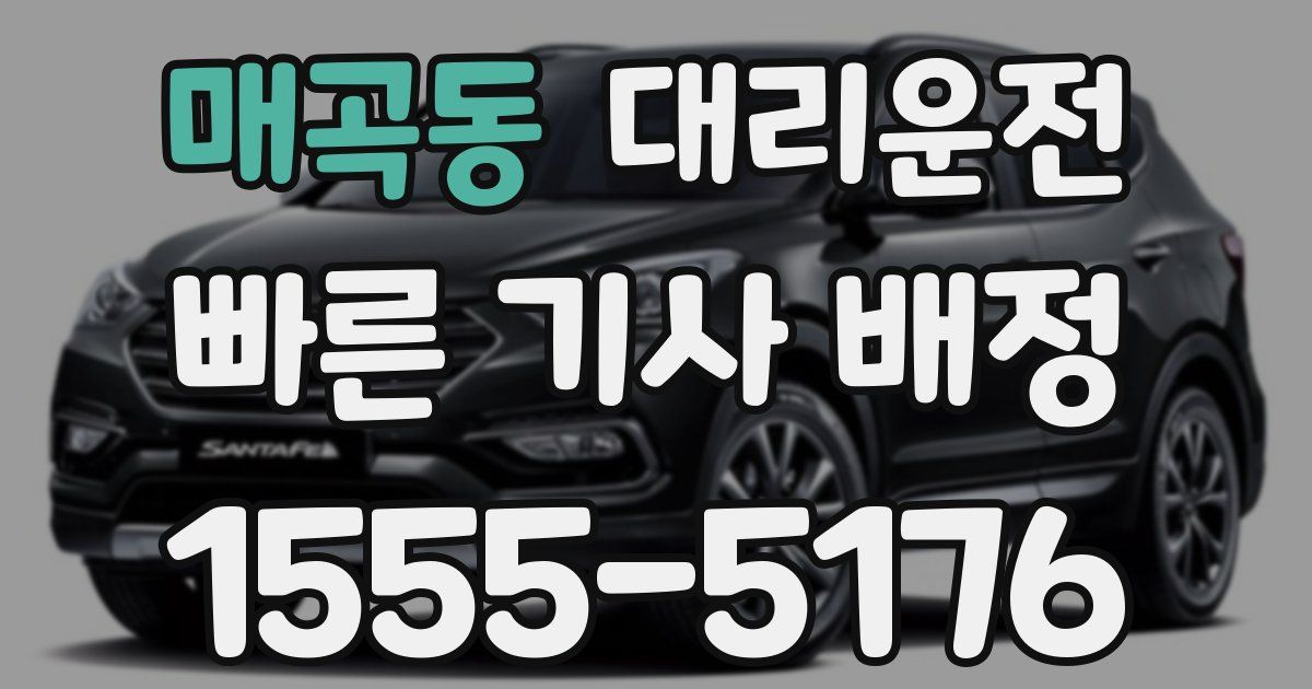 일일대리기사