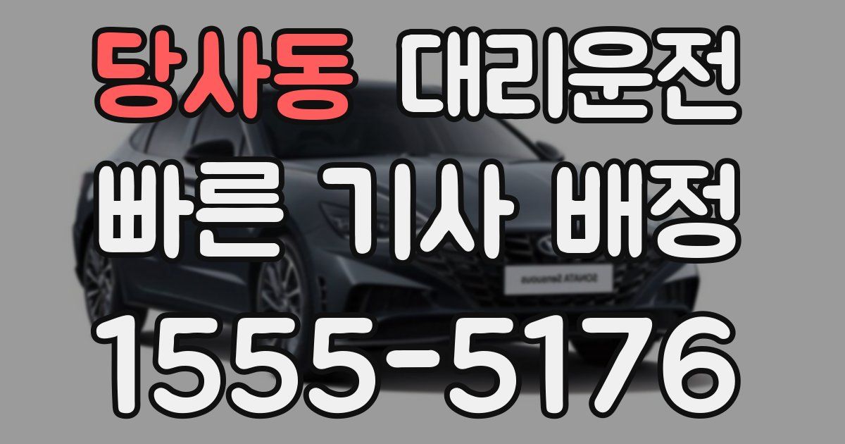 일일대리기사