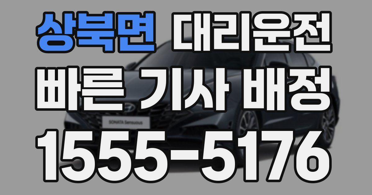 일일대리기사