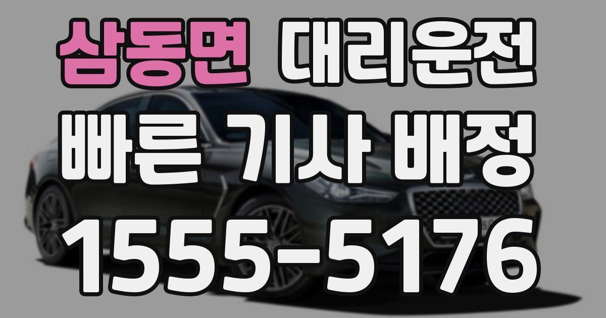 일일대리기사