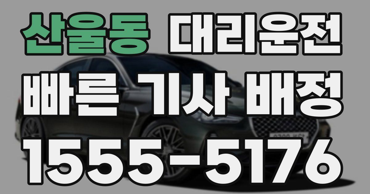일일대리기사