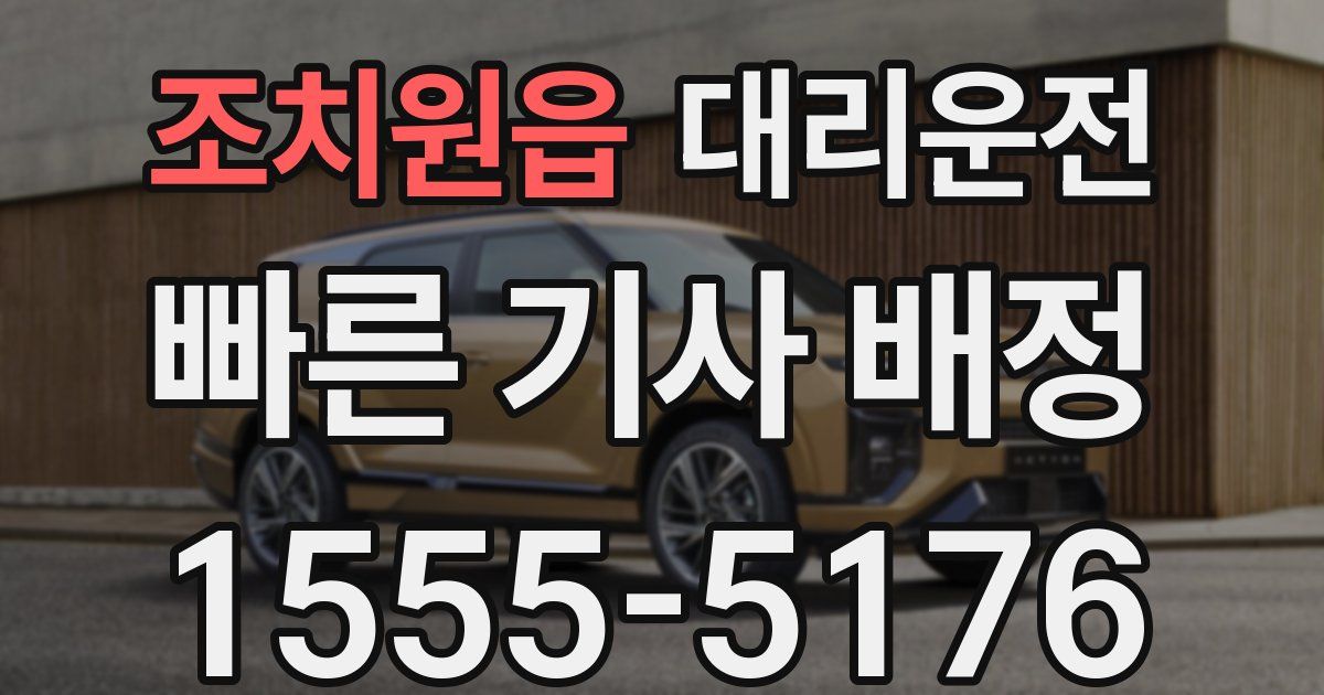 일일대리기사