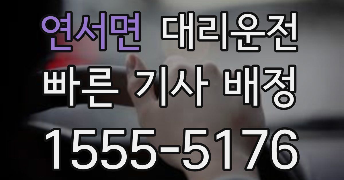 일일대리기사