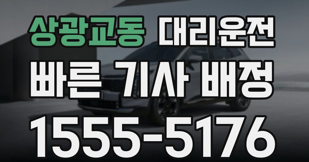 일일대리기사