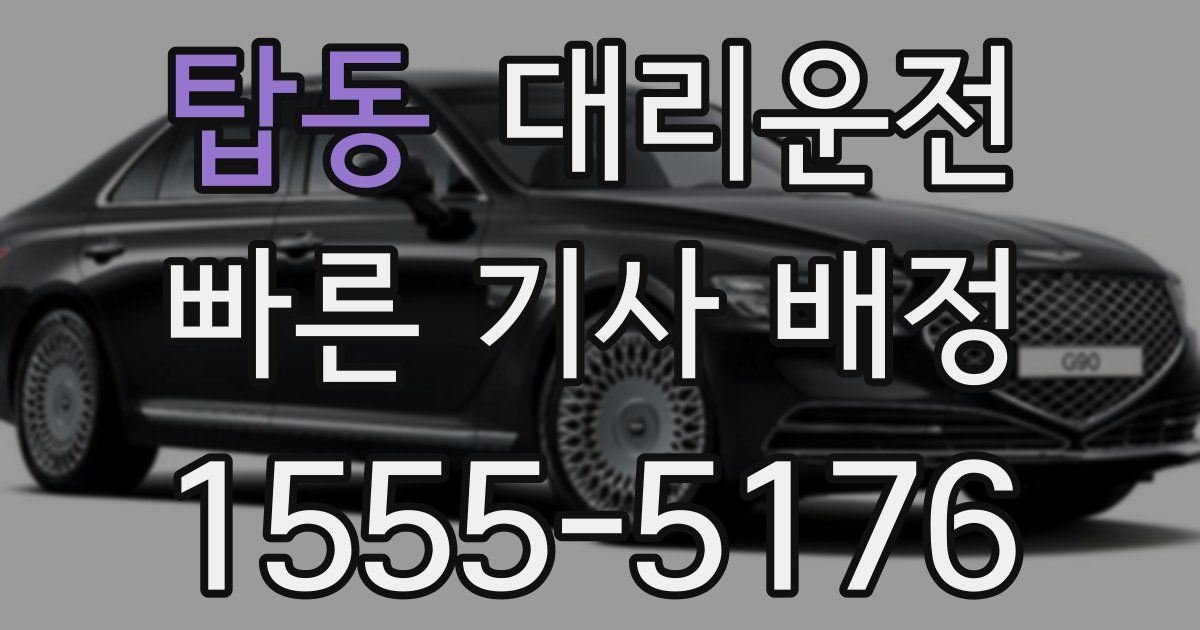 일일대리기사