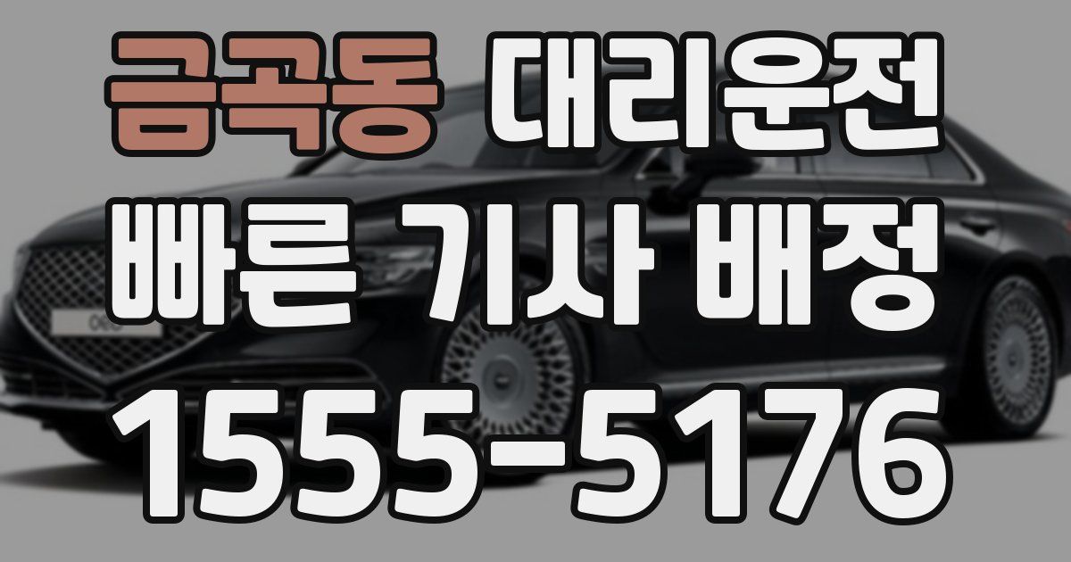 일일대리기사