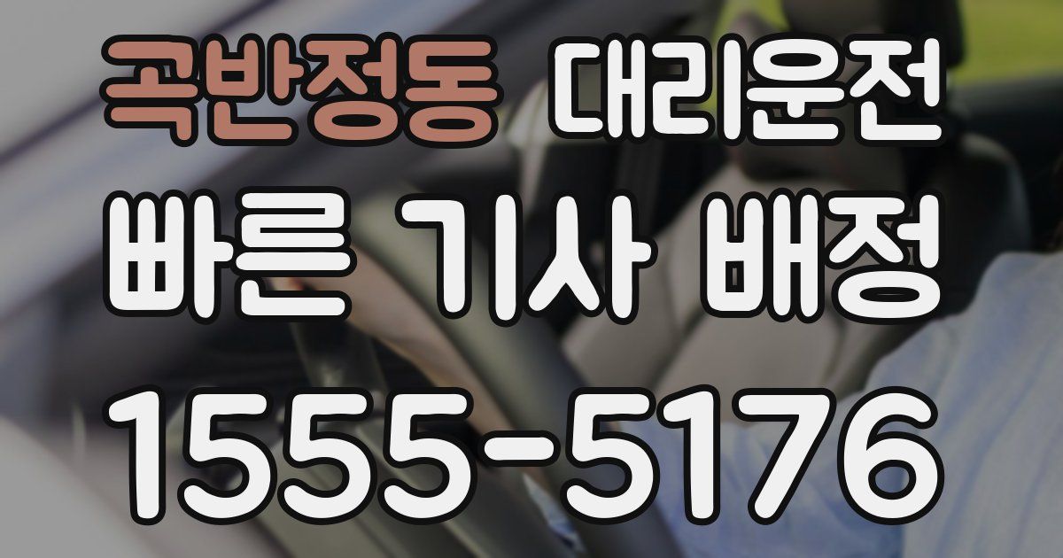 일일대리기사