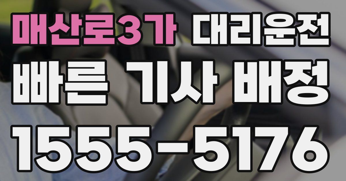 일일대리기사