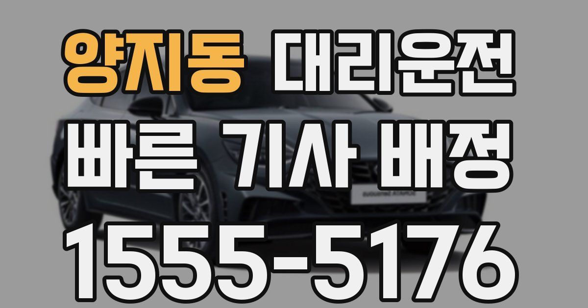 일일대리기사