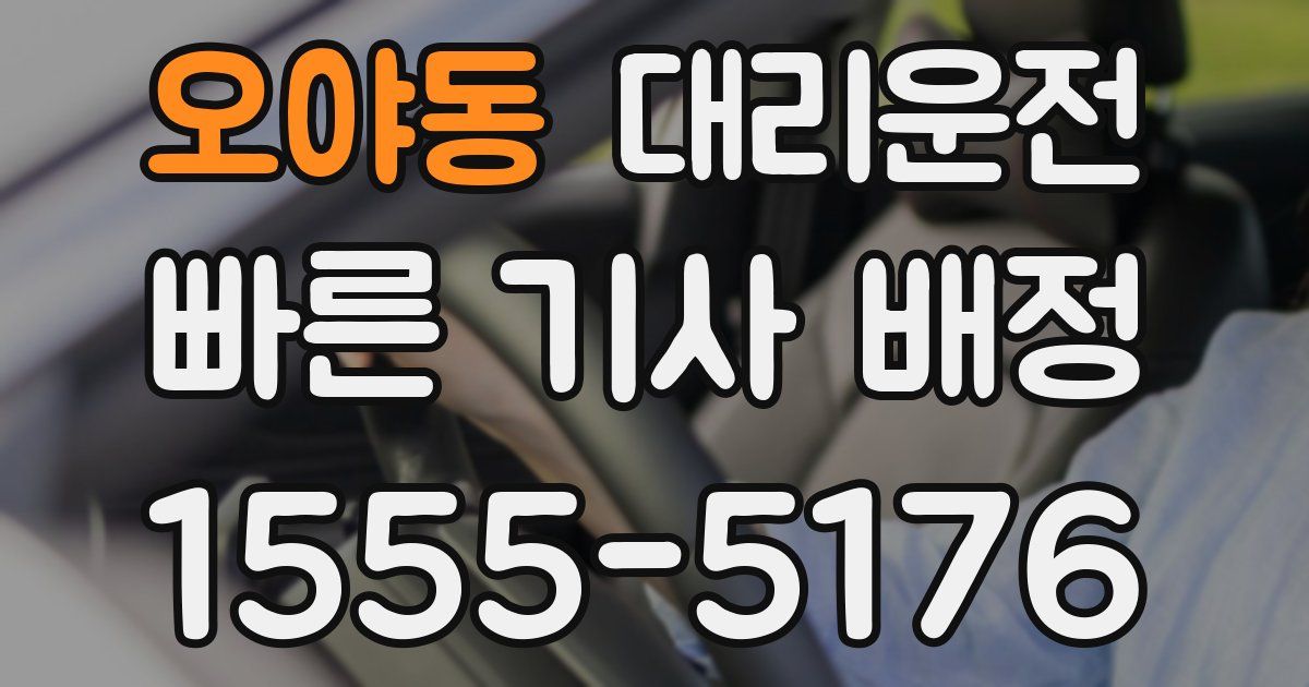일일대리기사